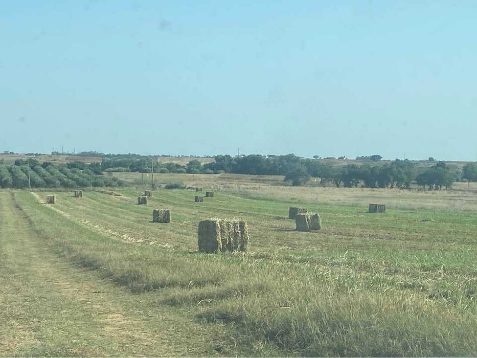 Venda de fardos de feno