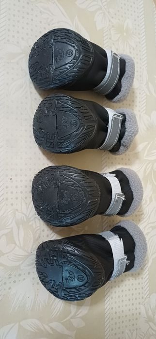 Зимняя обувь для собак