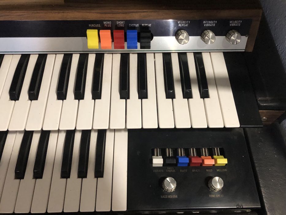 Eko Tiger Duo - Teclado / Órgão Analógico Vintage