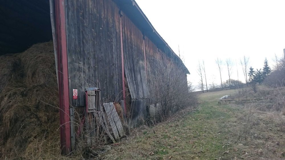 Darmowa rozbiórka stodół. stare deski, belki, wymiana