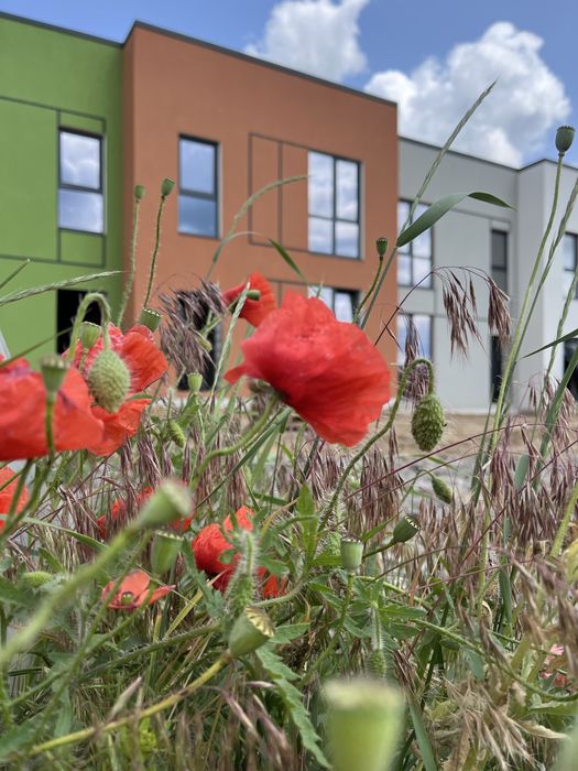 Таунхаус у Гостомелі по ціні 1-кімнатної квартири!