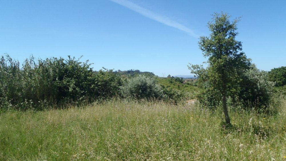 Troca Autocaravana ou vendo Quintinha Santarém  4500 casa p recuperar