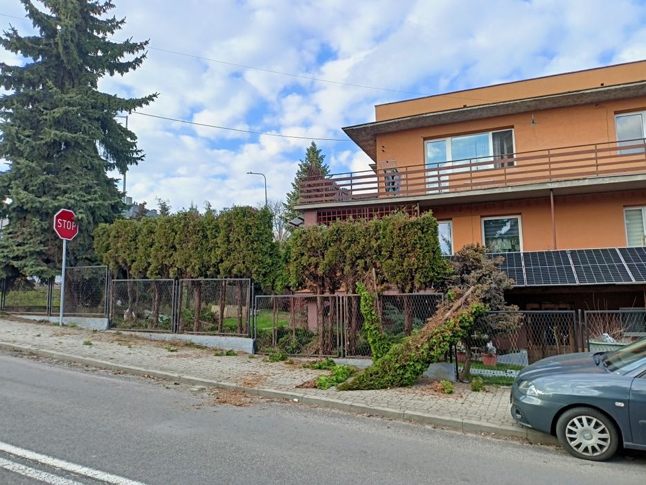 Wycinka drzew odśnieżanie posesji dachów