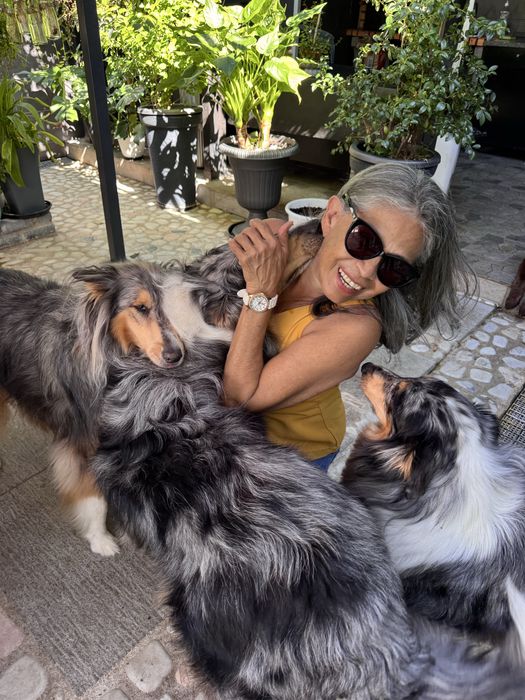 Hospedagem e passeios para cães.