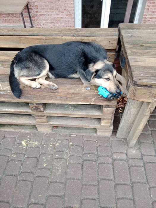 НЕЙМОВІРНИЙ ХЛОПЧИК в добрі руки