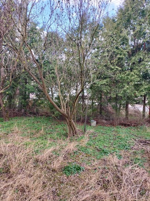 Продаж будинку Винники