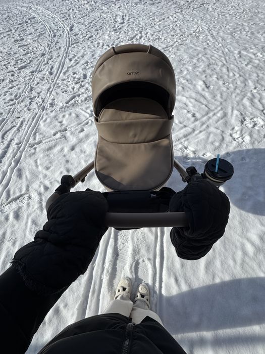 Коляска Anex Eli