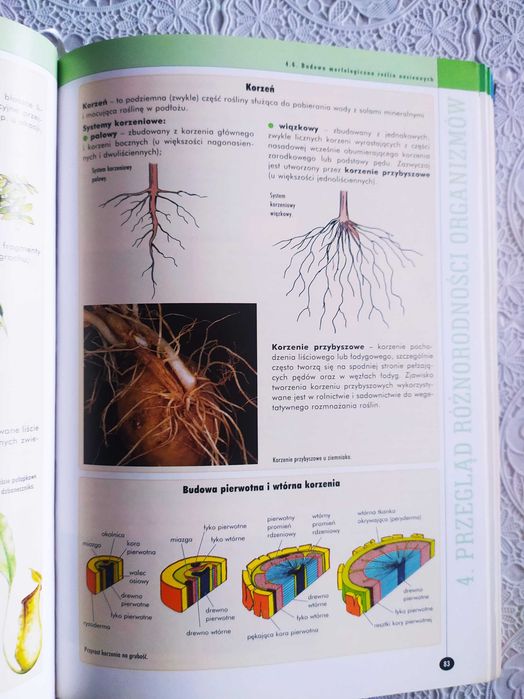 Matura biologia 2011