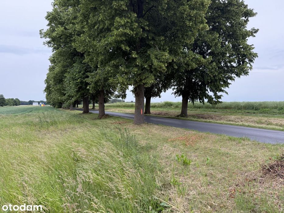 Działka budowlana 860 m² – Stary Tomyśl – uzbrojona