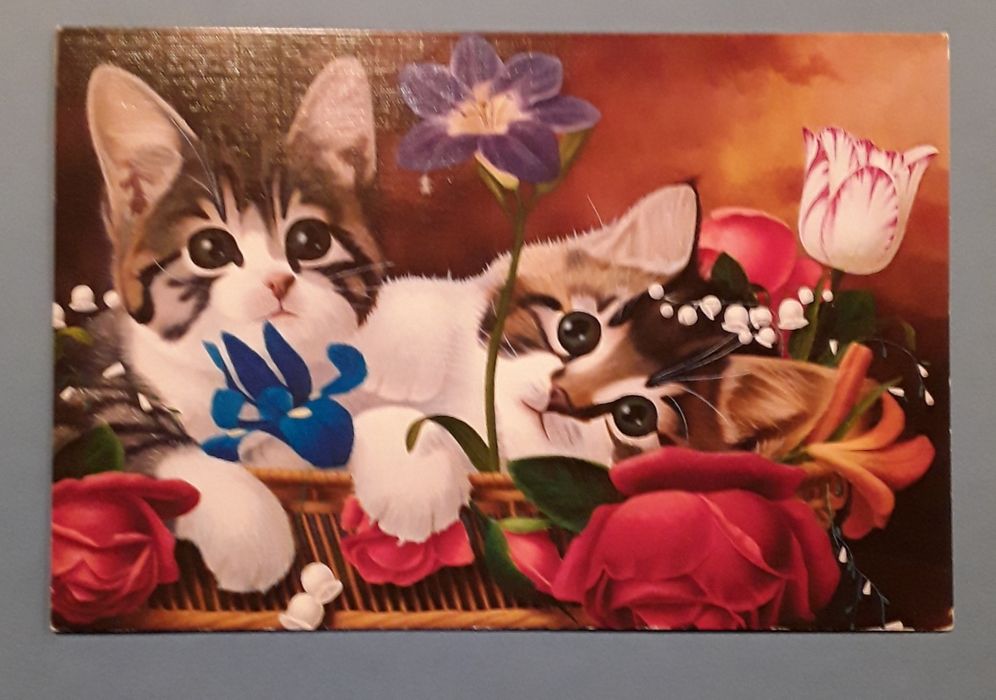 Postal com gatos