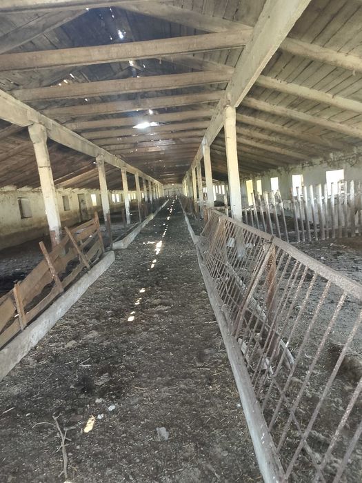 С/Х ферма(Свиноферма)