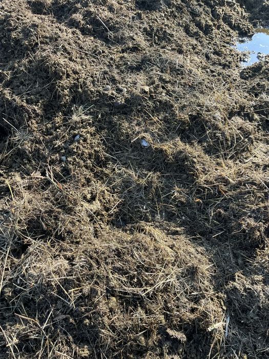 Oddam nawóz bio pochodzenia końskiego (GNÓJ)