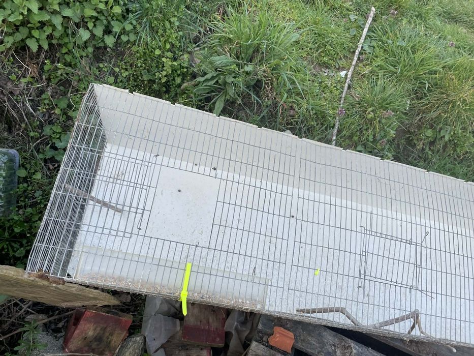 Tenho uma gaiola para vender