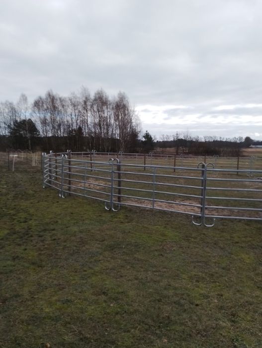 Lonżownik dla koni, ogrodzenie dla koni