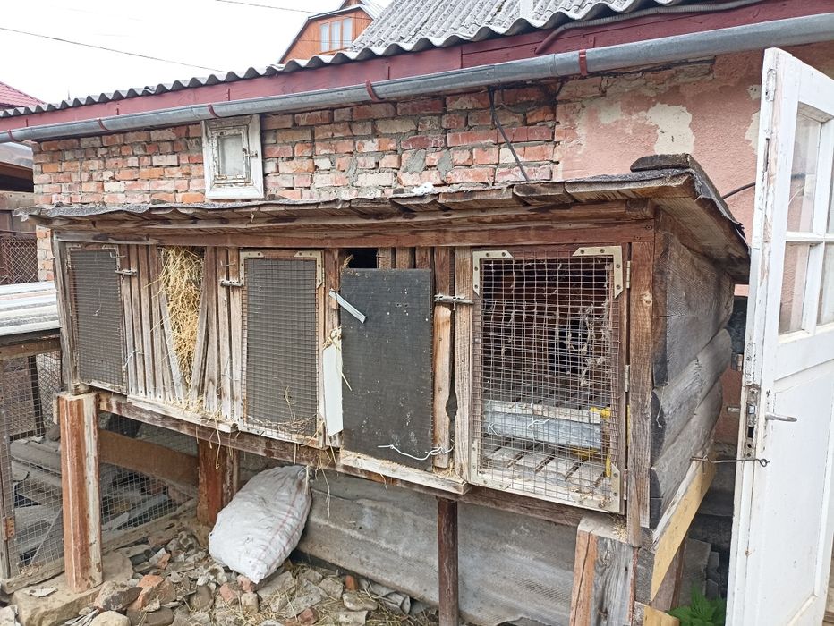 Клітки для кролів