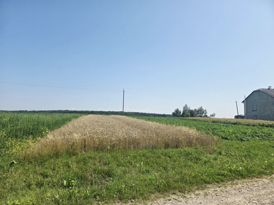 Продаж будинку в Львівській обл. 20 КМ від м.Самбора