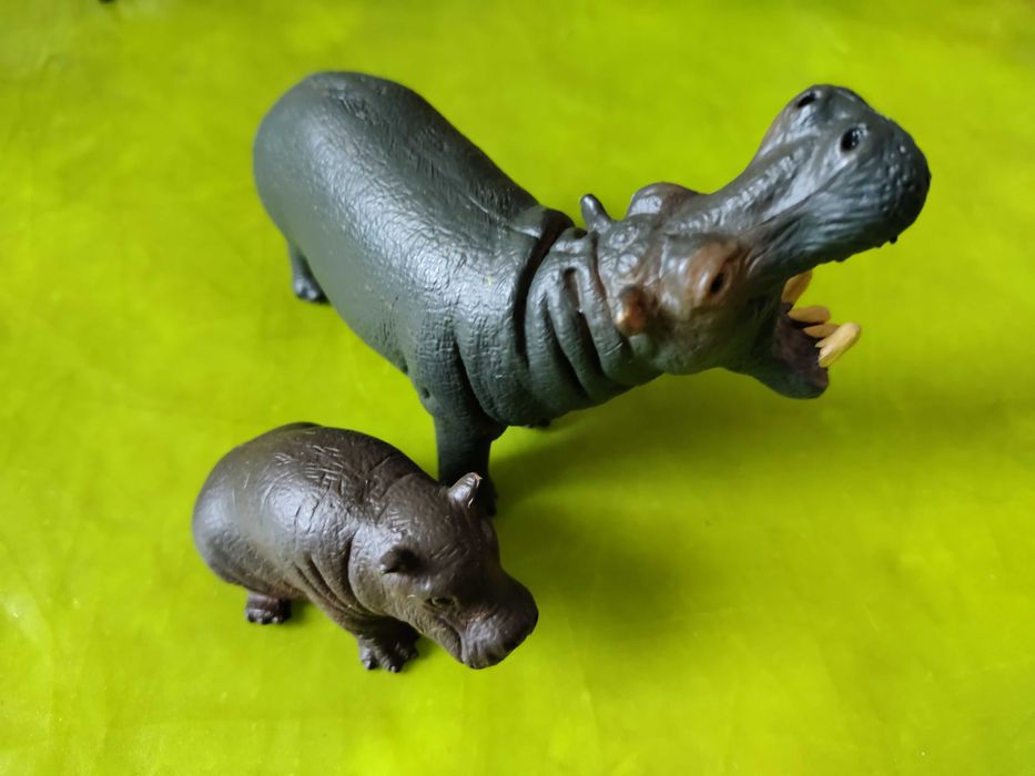 Animais Selvagens como novos Série model