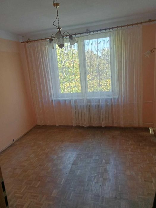 Zdjęcie 6