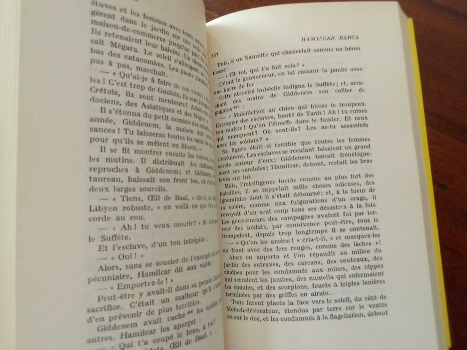 Flaubert - Salammbô [em Francês]