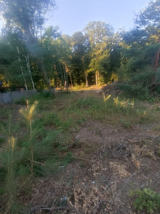 Sprzedam działkę budowlaną w kolonia Góra Puławska. - Widok 2