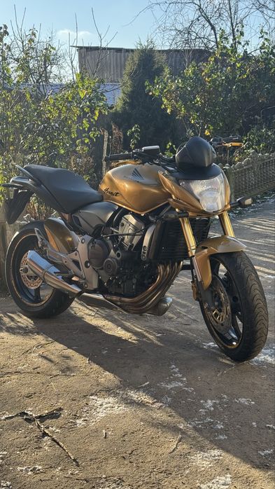 Продам Honda Hornet CB600F 2009
