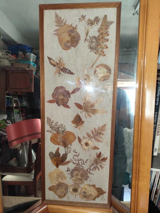 2 Quadros Antigos decorativos de flores secas