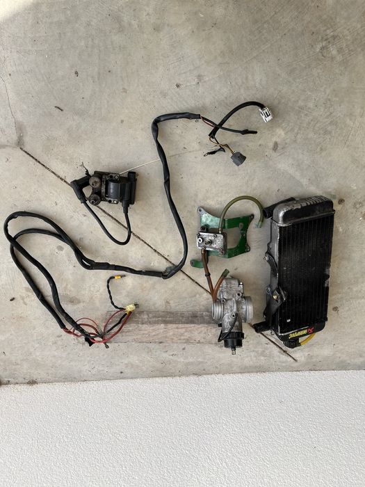 Motor rotax max 125cc completo