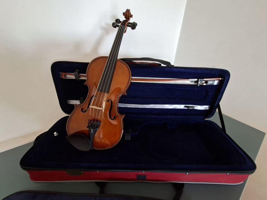 Viola D'Arco Stentor