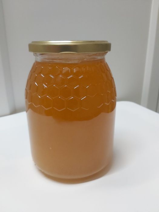 Mel de Rosmaninho Alto Alentejo 2025