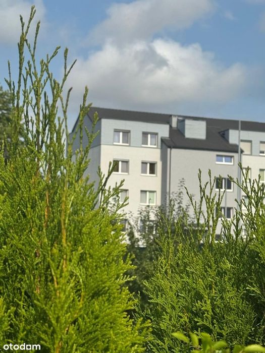 Mieszkanie przy parku|centrum|klimatyzacja |2 miejsca postojowe| winda