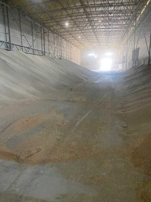 Сдам 3 отдельных склада (общая площадь 5000 кв.м)