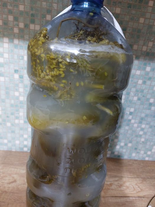 Ogórki kiszone wysyłka