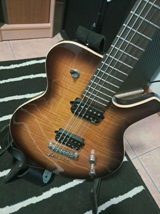 Gitara Parker PM20 + Marshall MG50CFX + DogiTech zestaw.