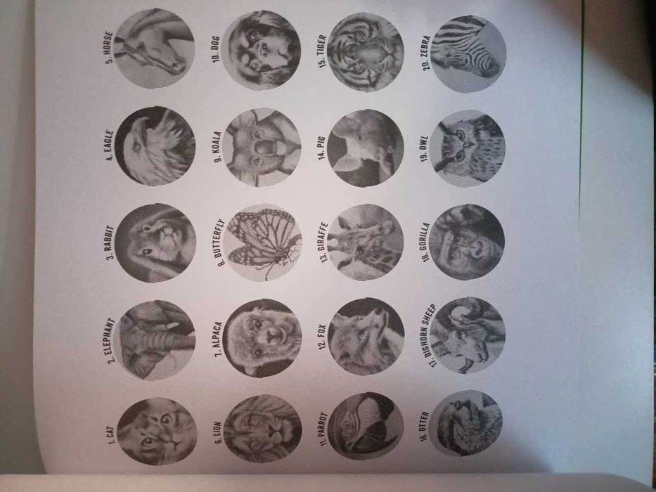 Spiroglyphics Animals Thomas Pavitte