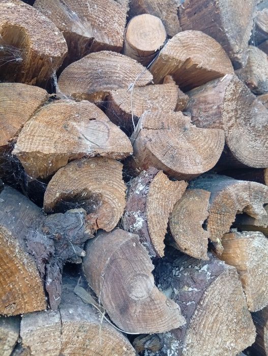 Vende-se lenha rachada! Eucalyptus and pinus wood to sell!