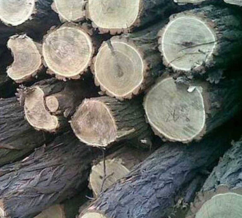 Реалізуємо дрова оптом і в роздріб