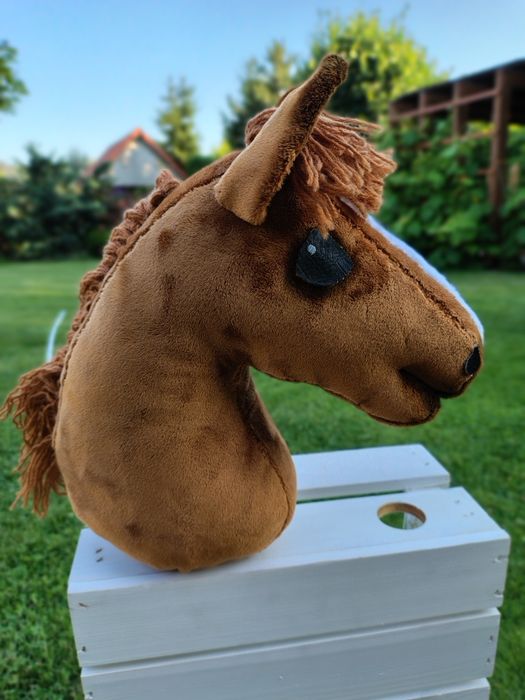 Hobby horse A4 rudy
