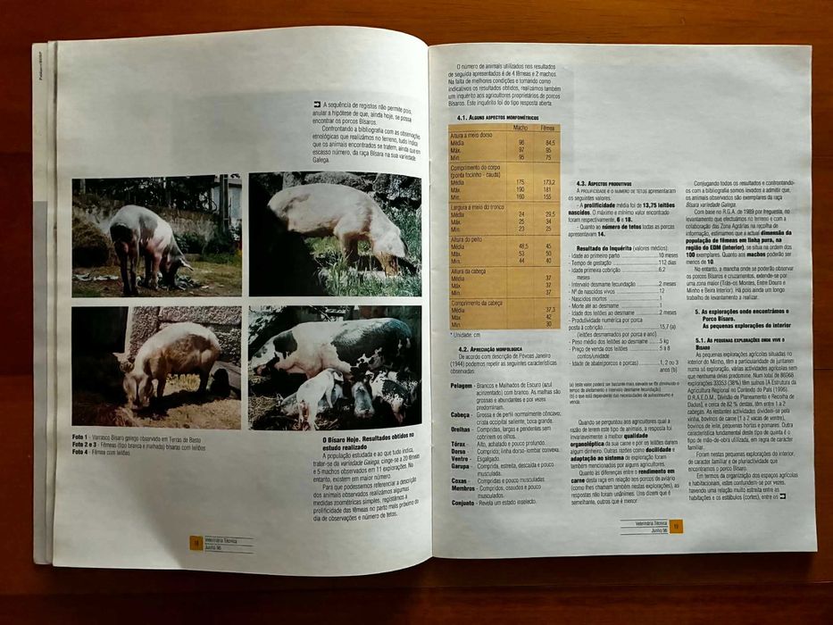 Veterinária Técnica - Junho de 1996