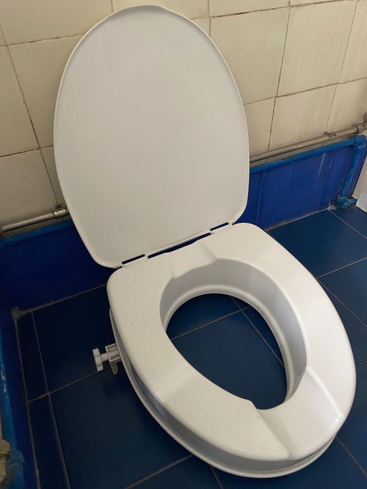 Cadeira sanitária e sanita