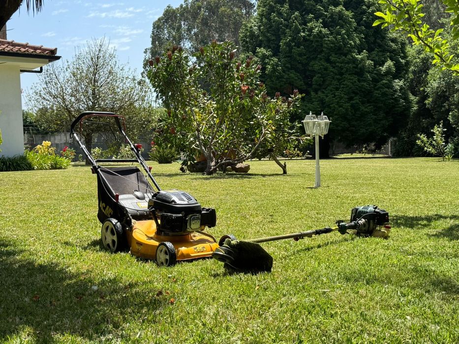 Limpeza e manutenção terrenos e jardins