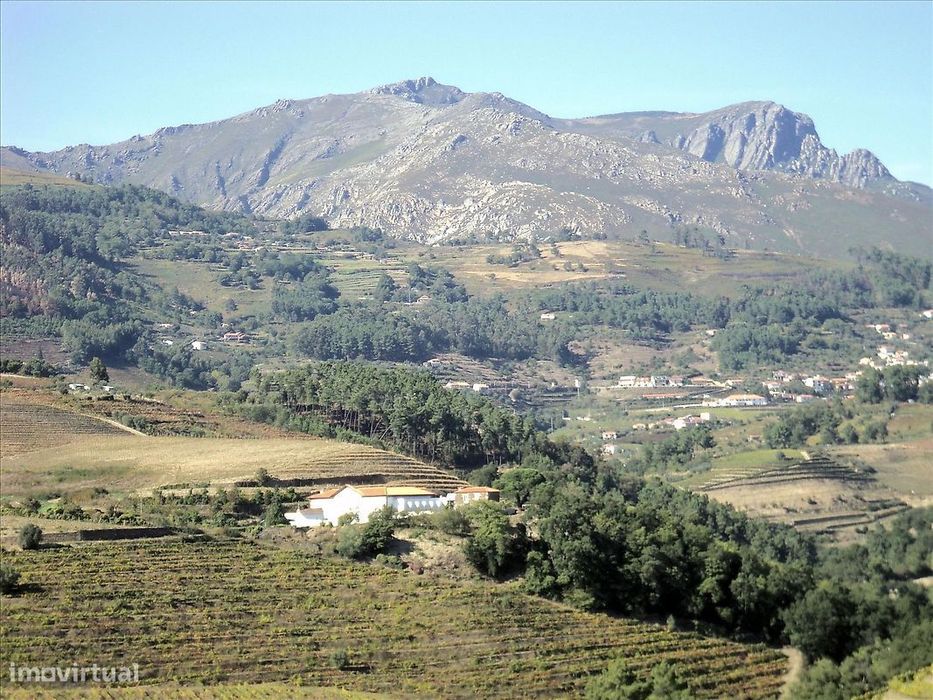 Terreno  para venda
