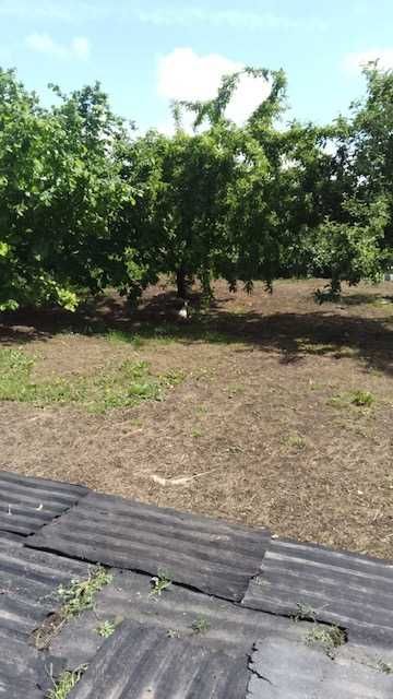 Продам будинок в Солоному  Дніпропетровської області