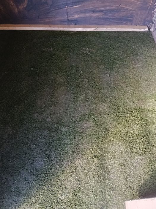 Casota/Abrigo reforçada para cães