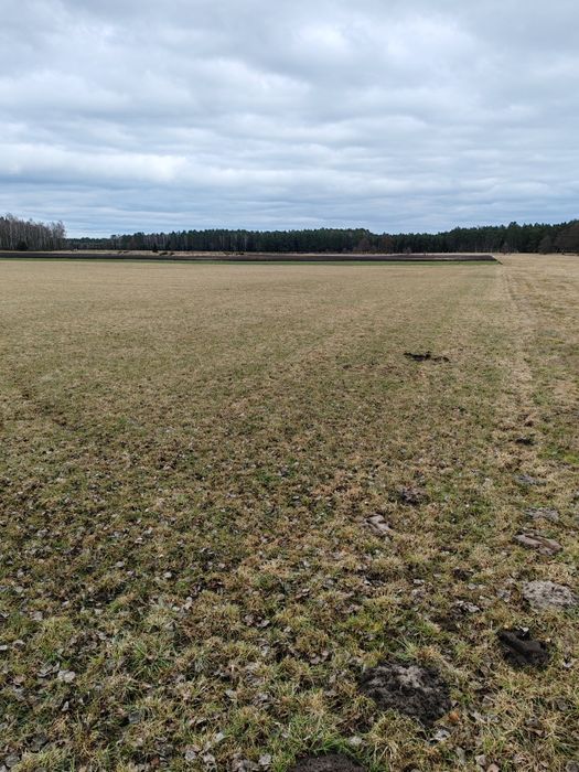 Sprzedam grunty rolne