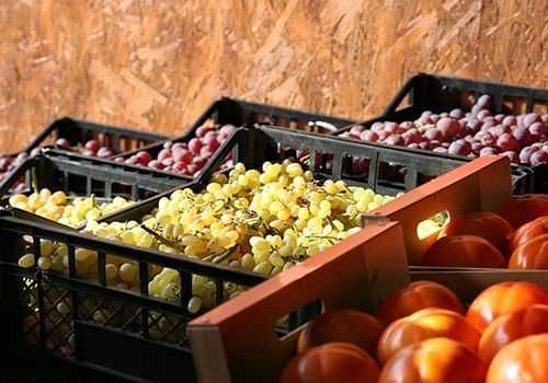 Холодильна камера для фруктів: яблука, груші (Луцьк, Нововолинськ)