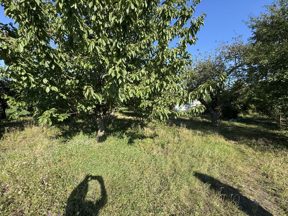 Продам будинок + земля/ присадиба/Гребінки