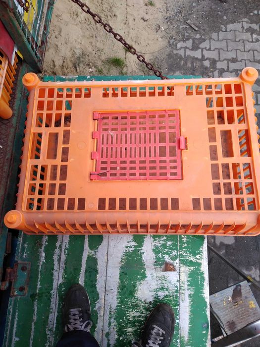 Skrzynki klatki pojemniki do transportu drobiu, kur, indyki,jak nowe