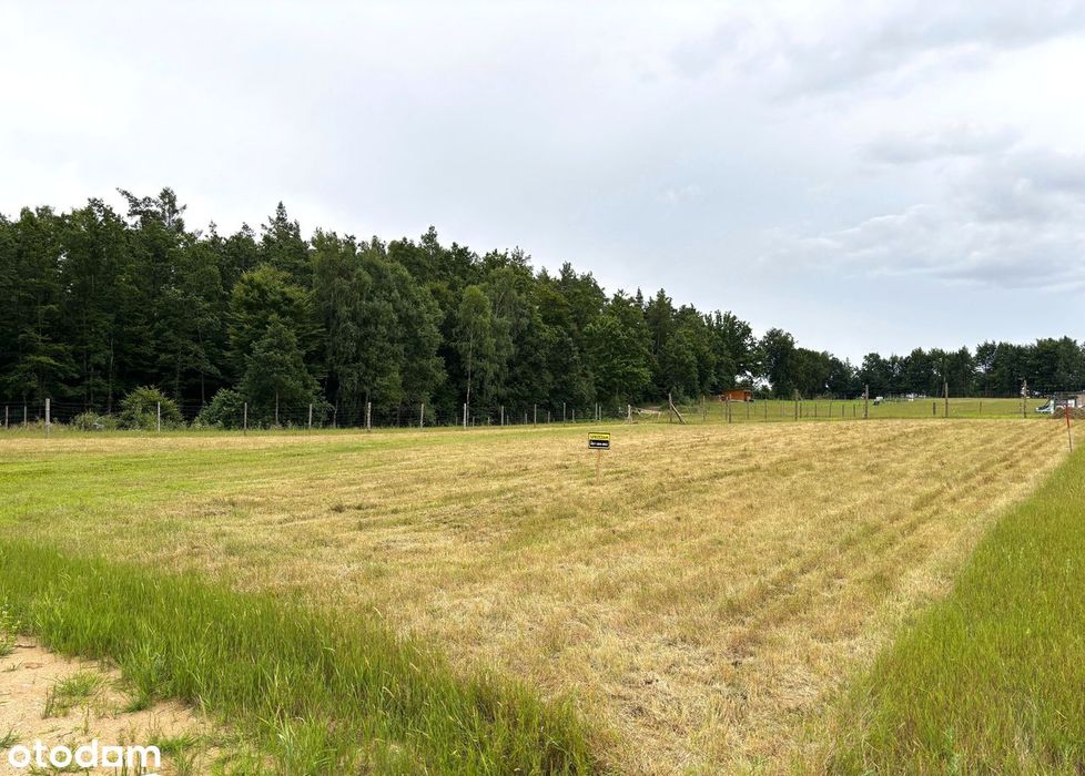 Działka budowlana w lesie. Z Pozwoleniem na Bud. Kaszuby. Jezioro