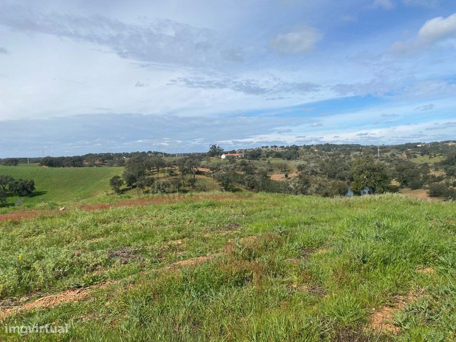Terreno Rustico com Olival em Vila Nova de São Bento - Serpa