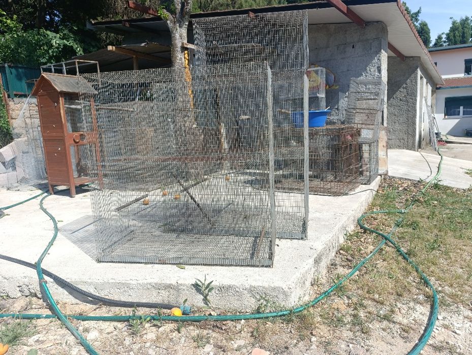 Gaiolas para aves